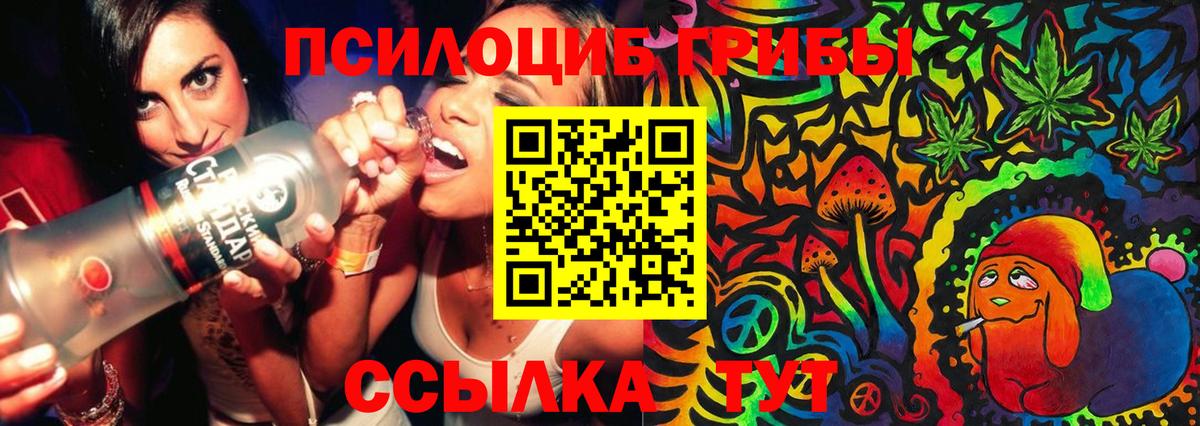 Павлово  Псилоцибиновые грибы мицелий  Вход с VPN 