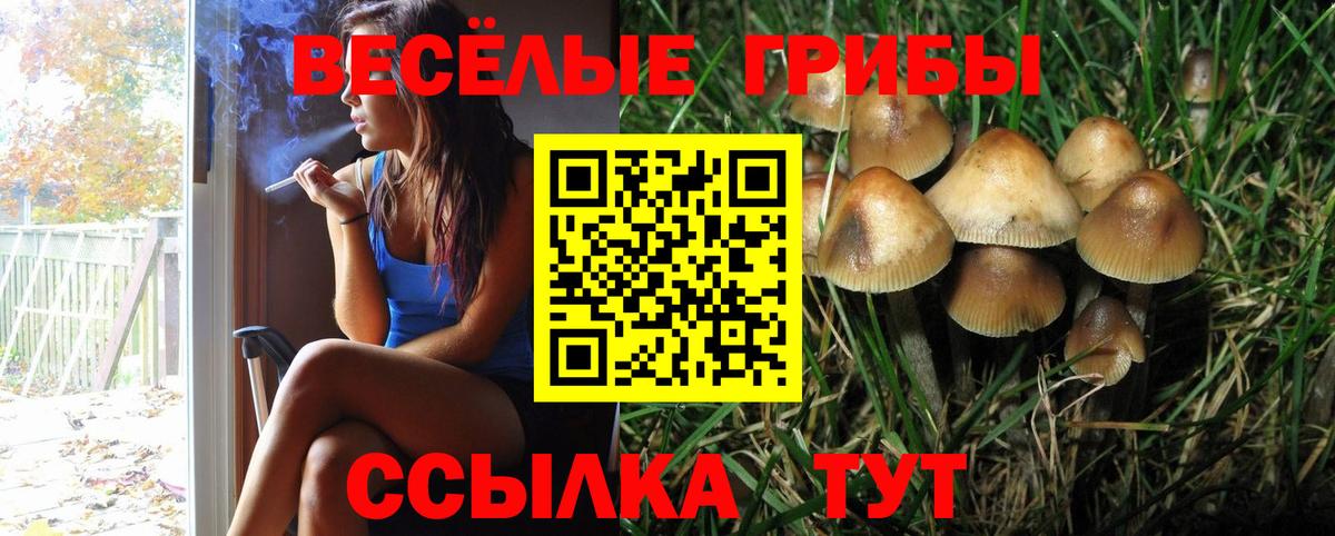Галлюциногенные грибы Cubensis Павлово
