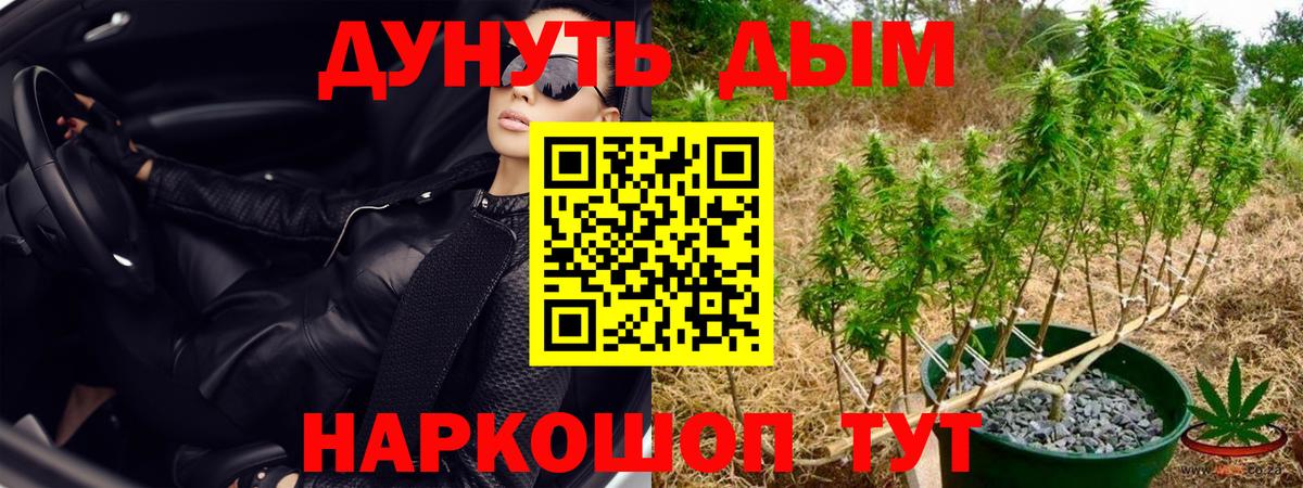 МАРИХУАНА MAZAR  Бошки Шишки SATIVA & INDICA  Вход с VPN  Шишки марихуана Amnesia  Бошки марихуана конопля  Павлово 